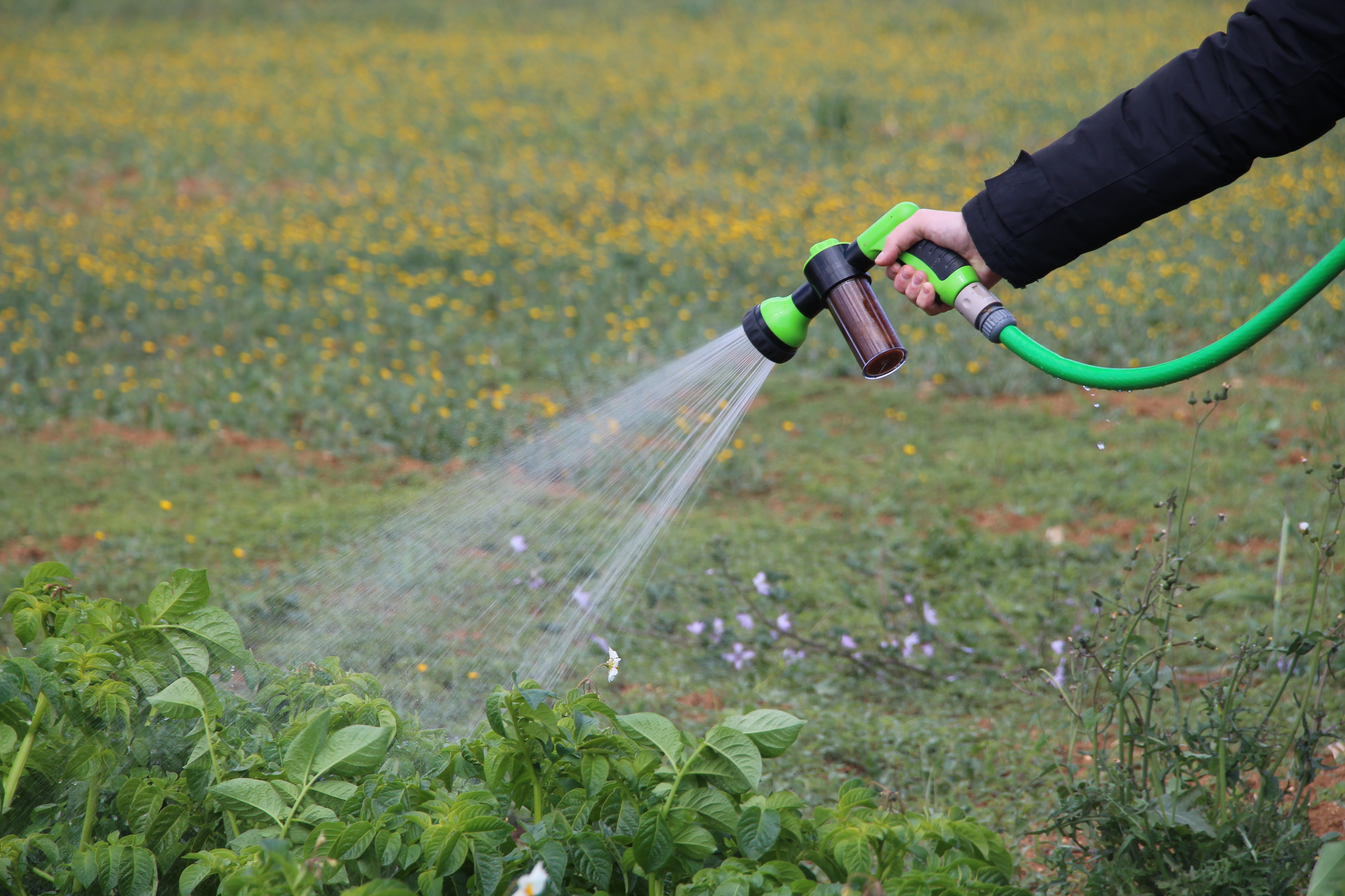 24H Agricultura Faro Abril 2019 (17).jpeg